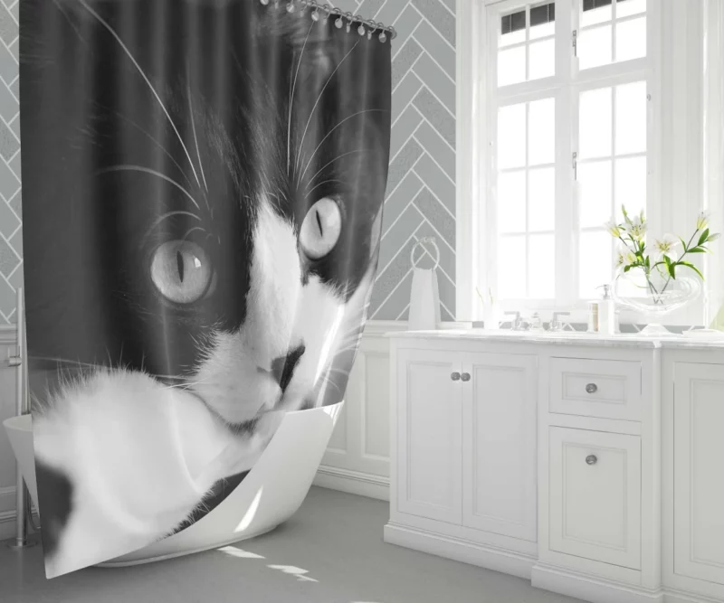 Black & White Cat Enigmatic Beauty Shower Curtain 1