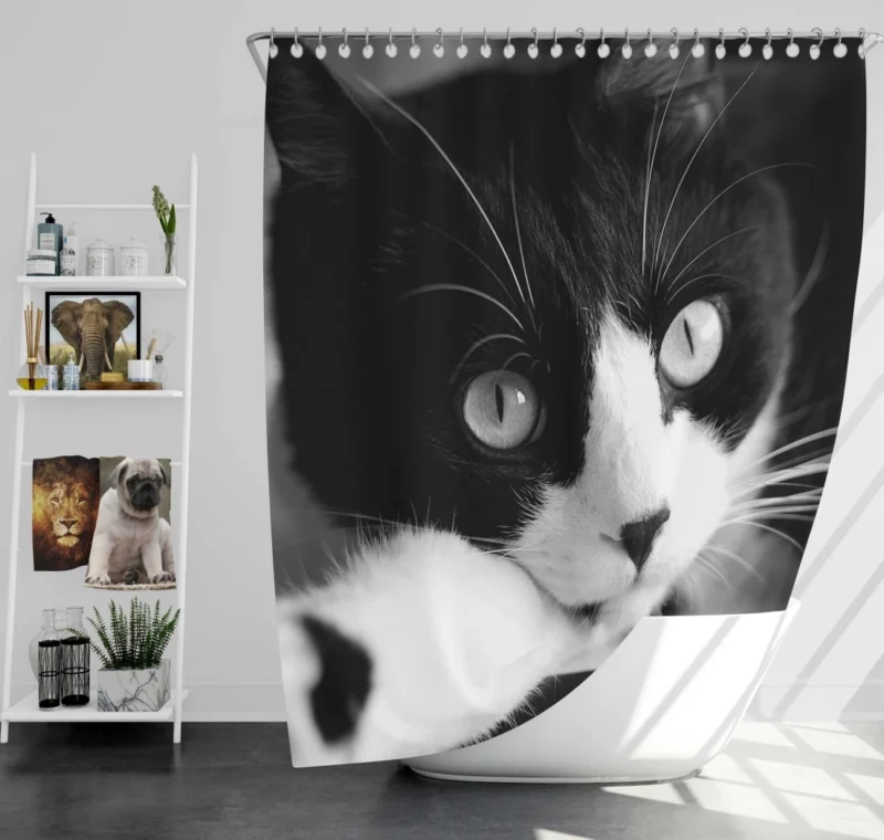 Black & White Cat Enigmatic Beauty Shower Curtain