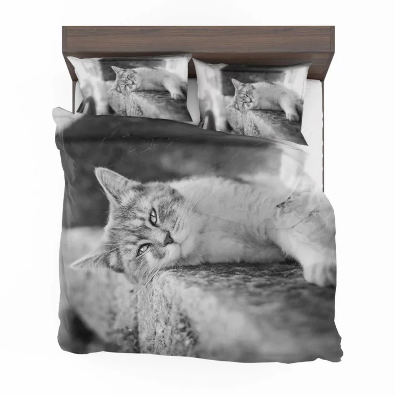 Black & White Cat Restful Pose Bedding Set 1