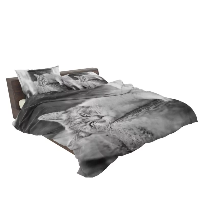 Black & White Cat Restful Pose Bedding Set 2