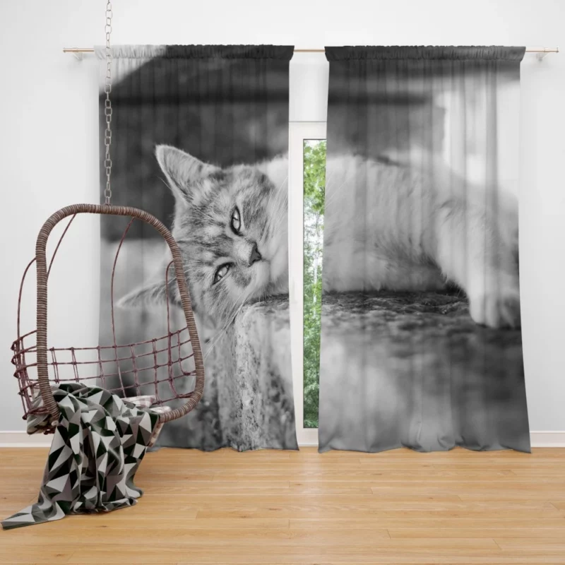 Black & White Cat Restful Pose Curtain