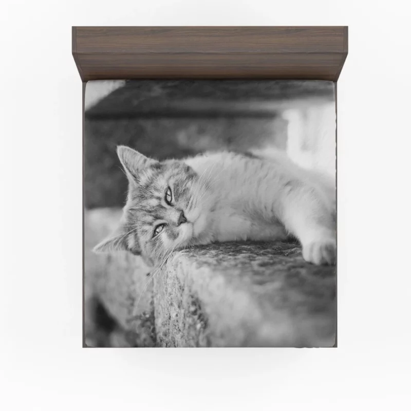 Black & White Cat Restful Pose Fitted Sheet 1