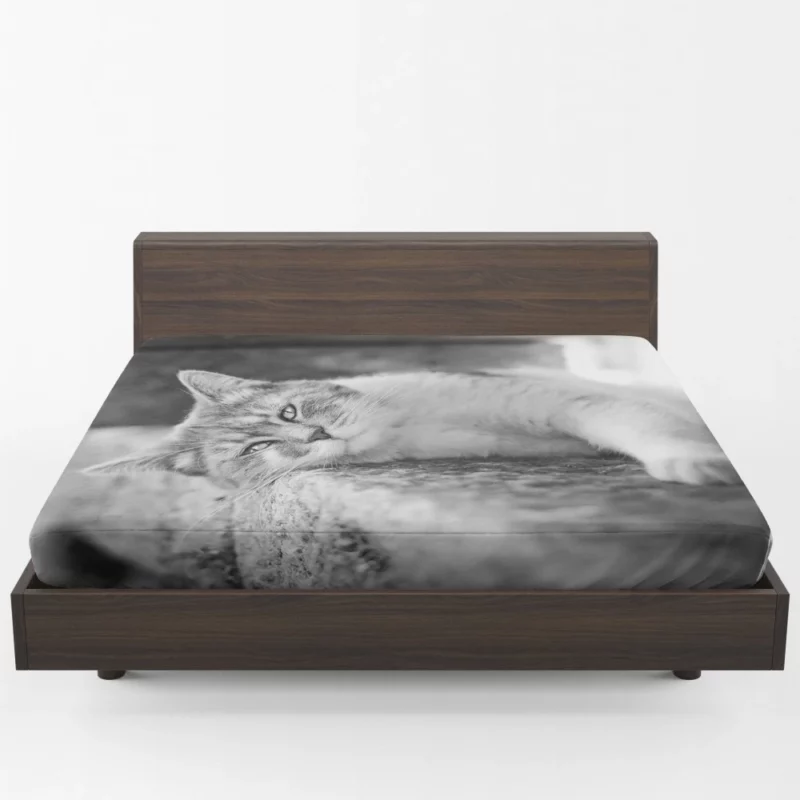 Black & White Cat Restful Pose Fitted Sheet