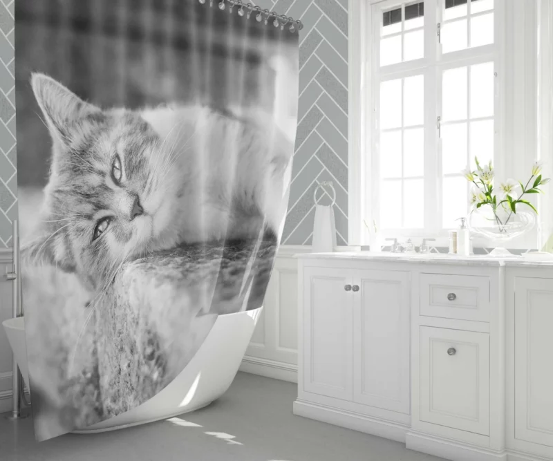 Black & White Cat Restful Pose Shower Curtain 1