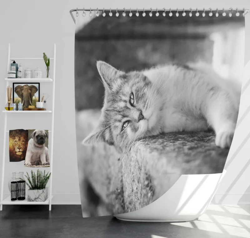 Black & White Cat Restful Pose Shower Curtain