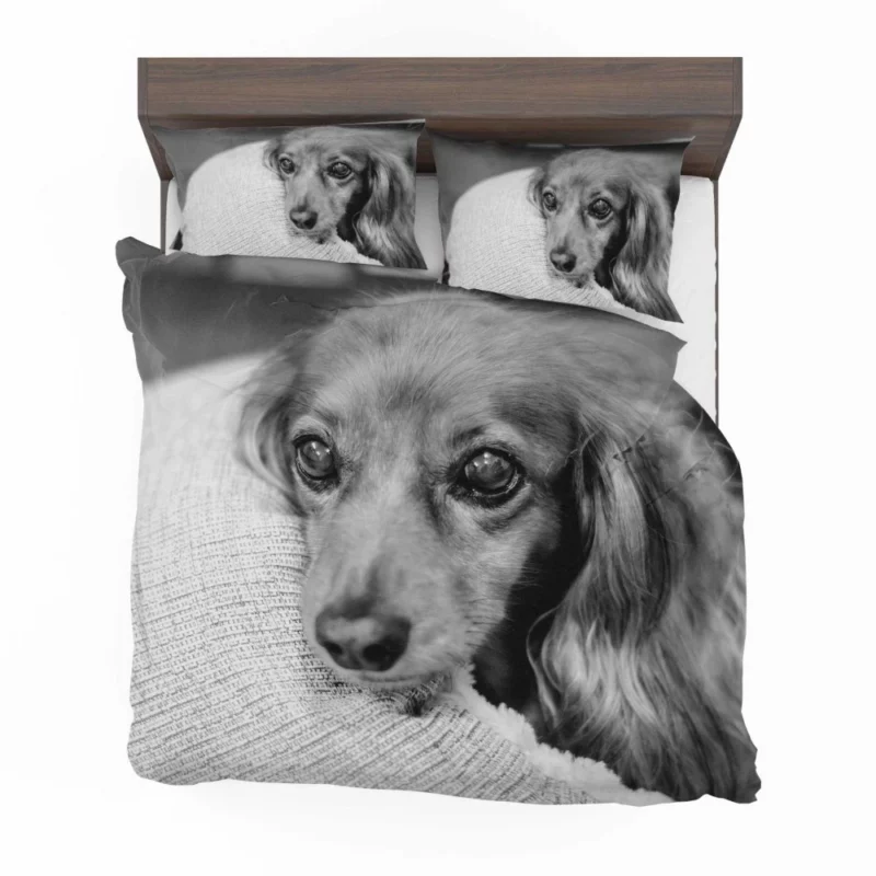 Black & White Dog Mysterious Charm Bedding Set 1