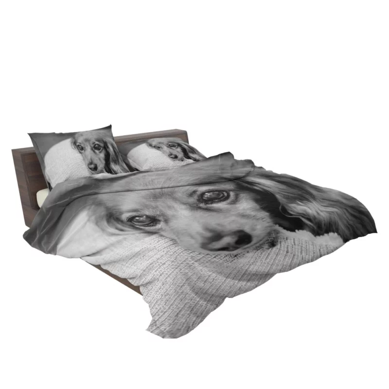 Black & White Dog Mysterious Charm Bedding Set 2