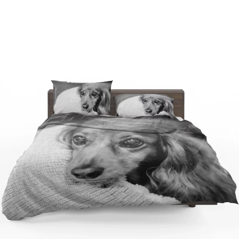 Black & White Dog Mysterious Charm Bedding Set