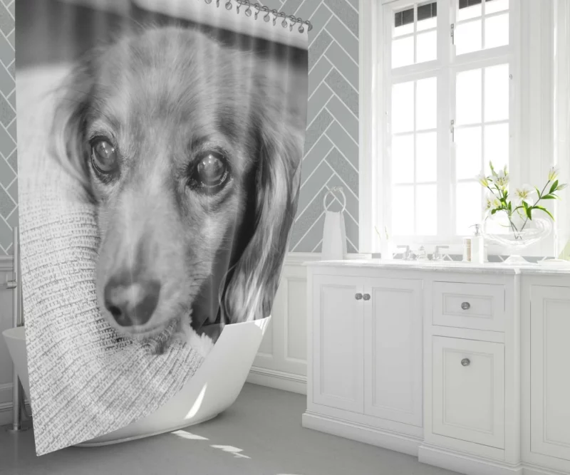 Black & White Dog Mysterious Charm Shower Curtain 1