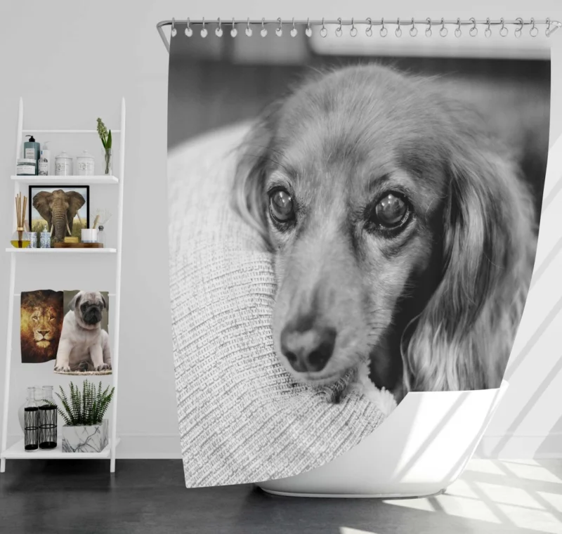 Black & White Dog Mysterious Charm Shower Curtain