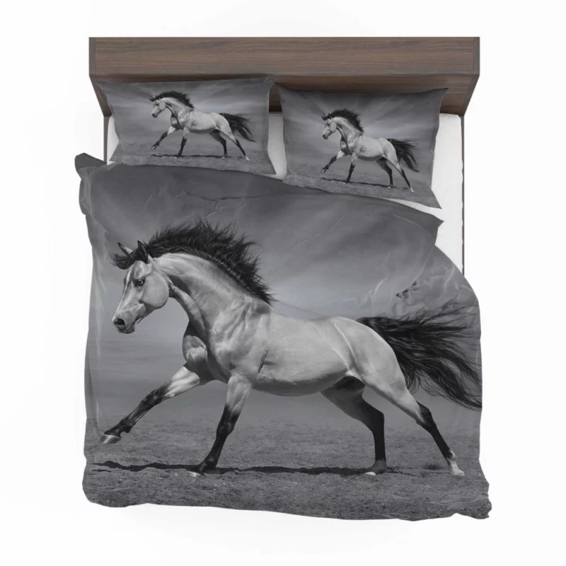 Black & White Horse Majesty Equine Grace Bedding Set 1