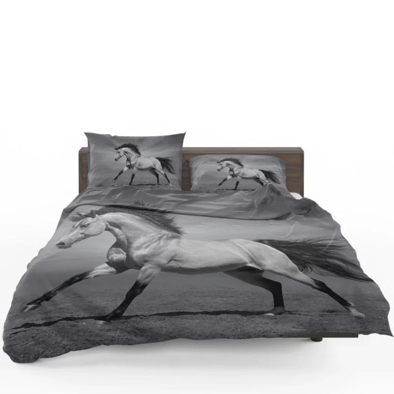 Black & White Horse Majesty Equine Grace Bedding Set