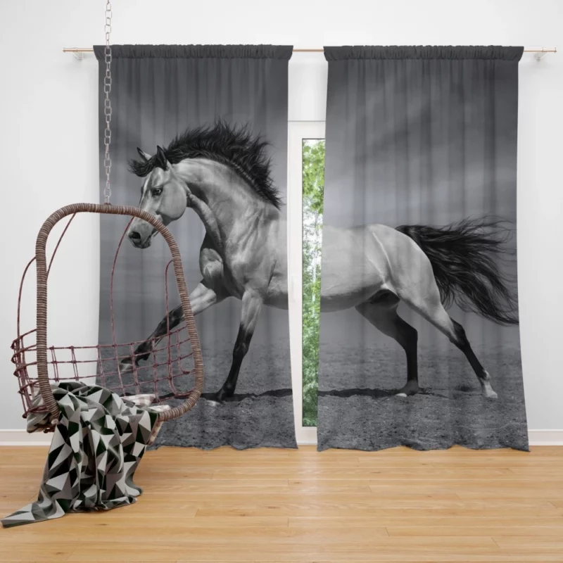 Black & White Horse Majesty Equine Grace Curtain