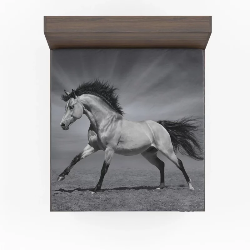 Black & White Horse Majesty Equine Grace Fitted Sheet 1