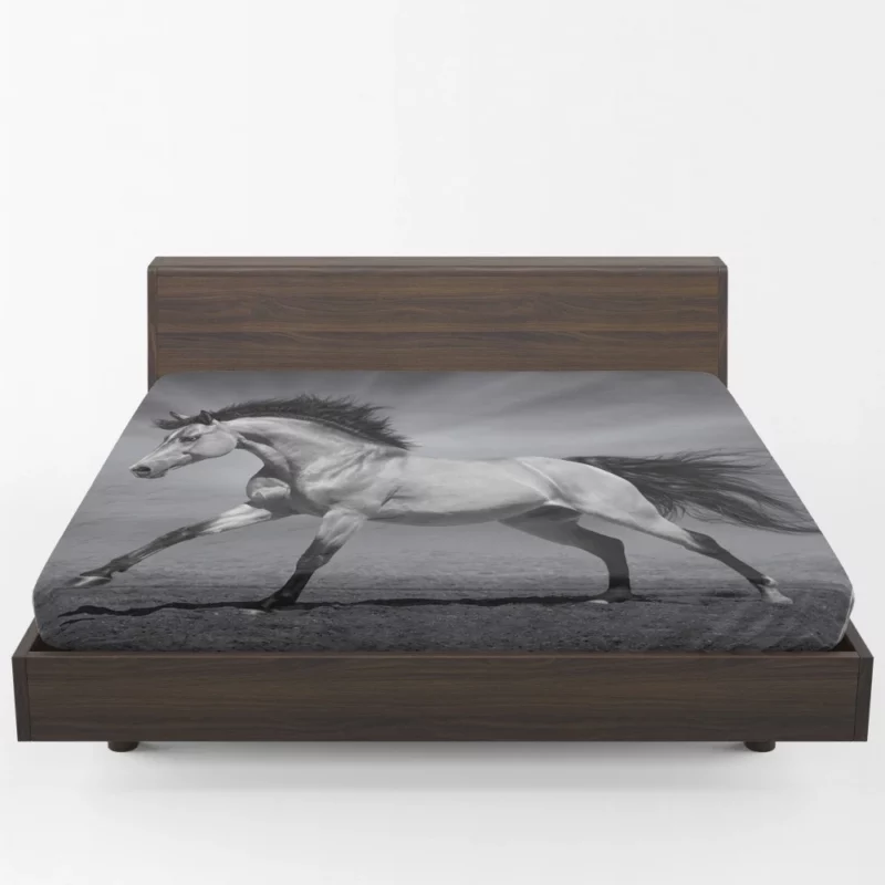 Black & White Horse Majesty Equine Grace Fitted Sheet