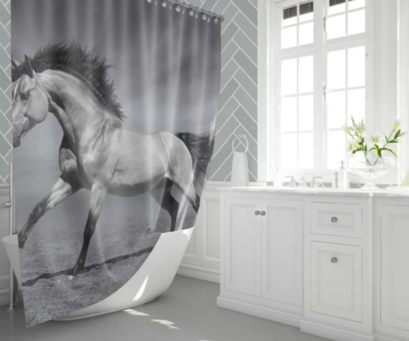 Black & White Horse Majesty Equine Grace Shower Curtain 1