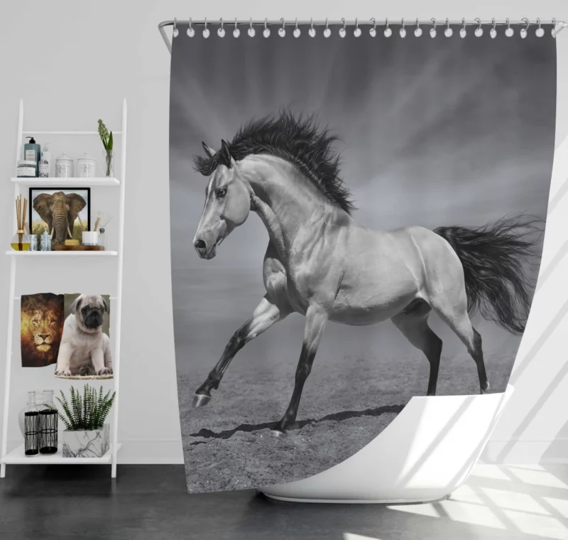 Black & White Horse Majesty Equine Grace Shower Curtain