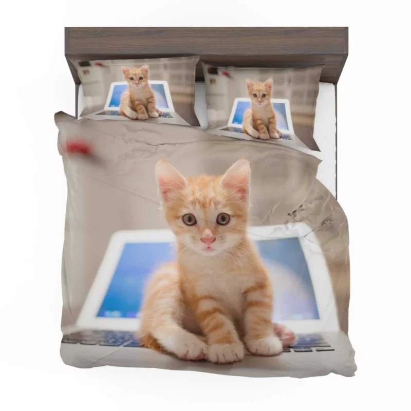 Black & White Kitten Enigmatic Beauty Bedding Set 1