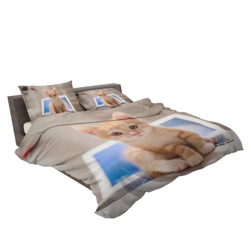 Black & White Kitten Enigmatic Beauty Bedding Set 2