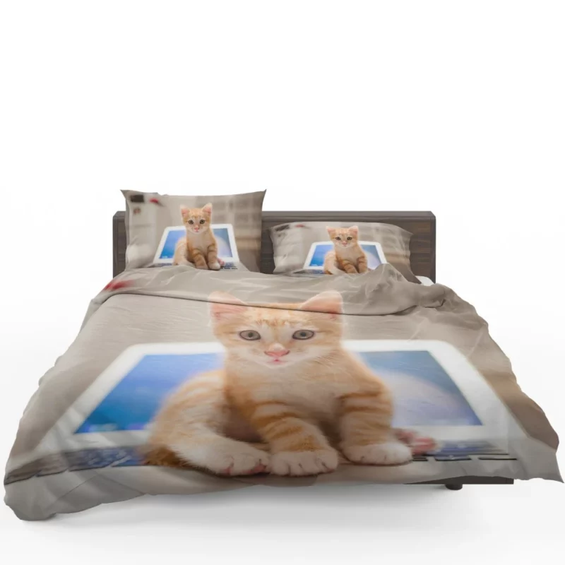 Black & White Kitten Enigmatic Beauty Bedding Set