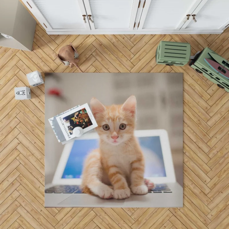 Black & White Kitten Enigmatic Beauty Rug