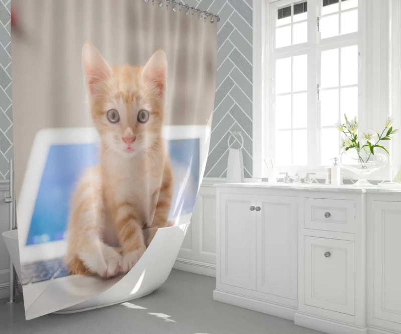 Black & White Kitten Enigmatic Beauty Shower Curtain 1