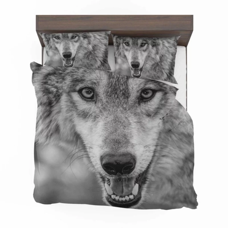 Black & White Wolf Intensity Wilderness Bedding Set 1