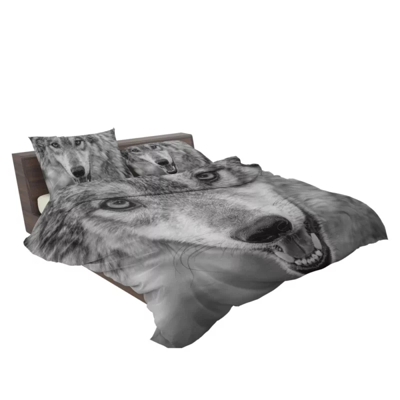 Black & White Wolf Intensity Wilderness Bedding Set 2