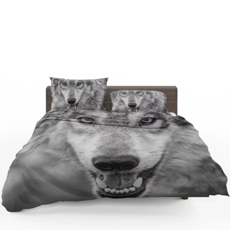 Black & White Wolf Intensity Wilderness Bedding Set