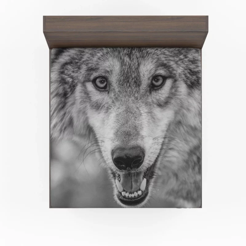 Black & White Wolf Intensity Wilderness Fitted Sheet 1