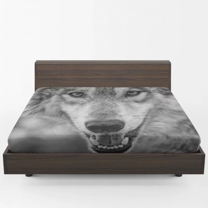 Black & White Wolf Intensity Wilderness Fitted Sheet