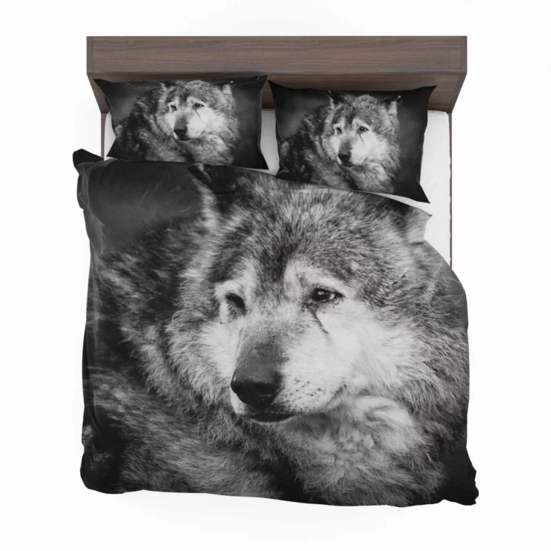 Black & White Wolf Mystic Gaze Bedding Set 1