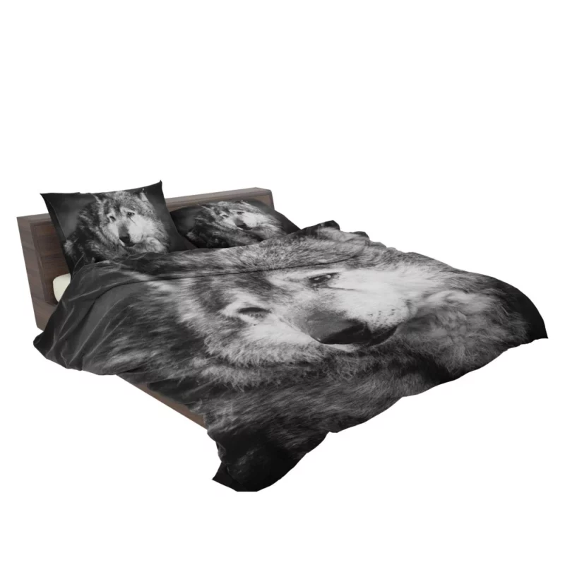 Black & White Wolf Mystic Gaze Bedding Set 2