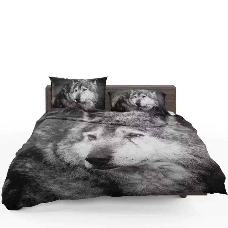 Black & White Wolf Mystic Gaze Bedding Set