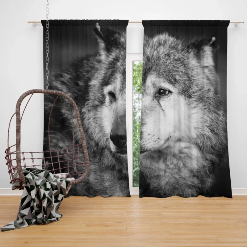 Black & White Wolf Mystic Gaze Curtain