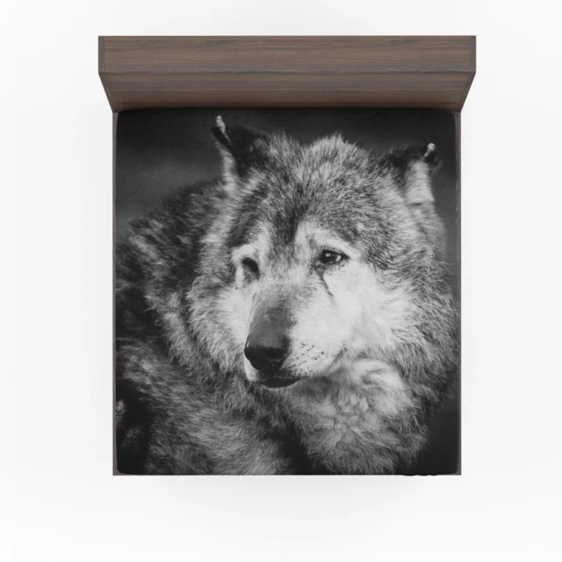 Black & White Wolf Mystic Gaze Fitted Sheet 1