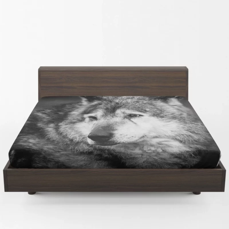 Black & White Wolf Mystic Gaze Fitted Sheet