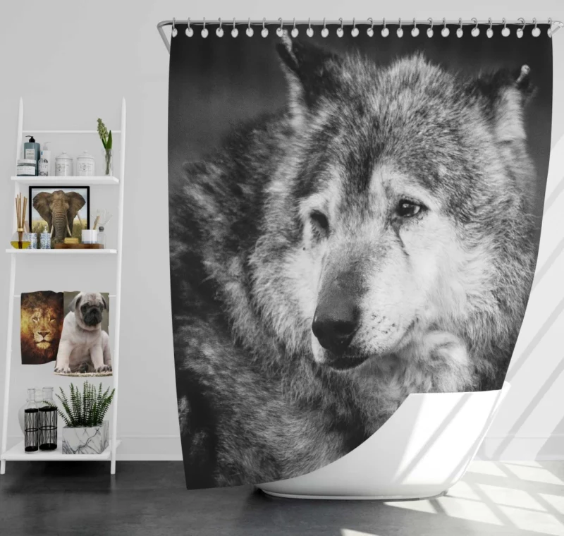 Black & White Wolf Mystic Gaze Shower Curtain