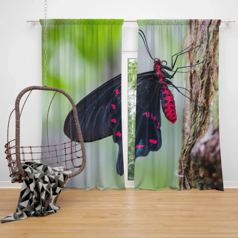 Black and Pink Butterfly Nature Elegance Curtain