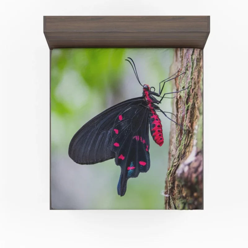 Black and Pink Butterfly Nature Elegance Fitted Sheet 1