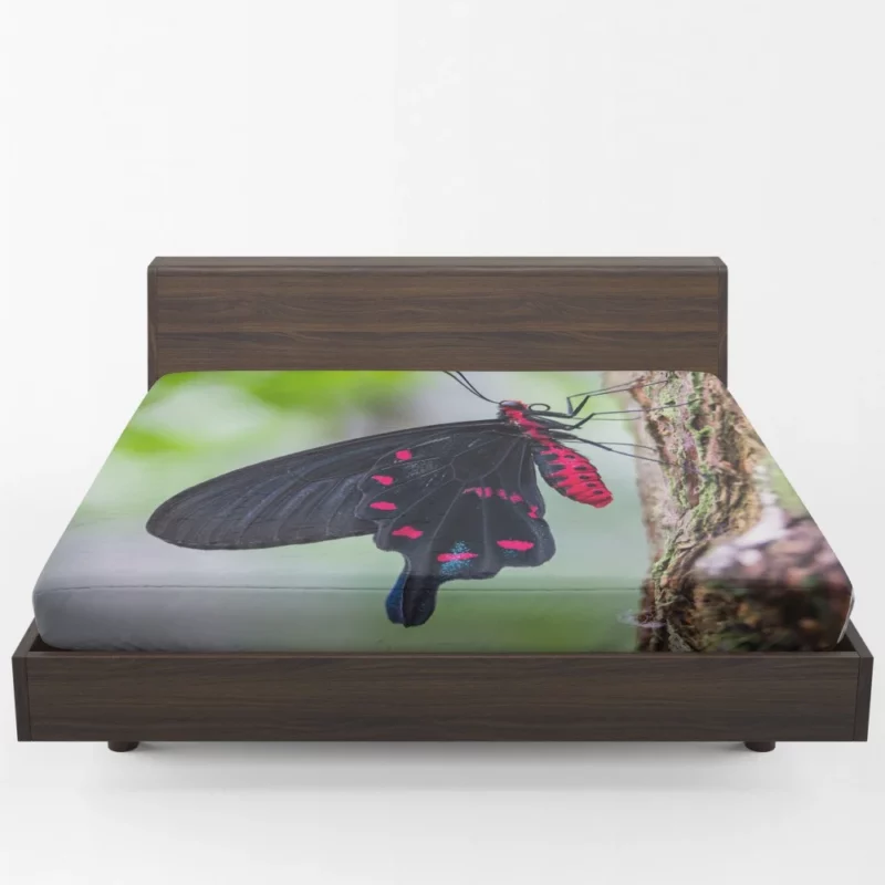 Black and Pink Butterfly Nature Elegance Fitted Sheet