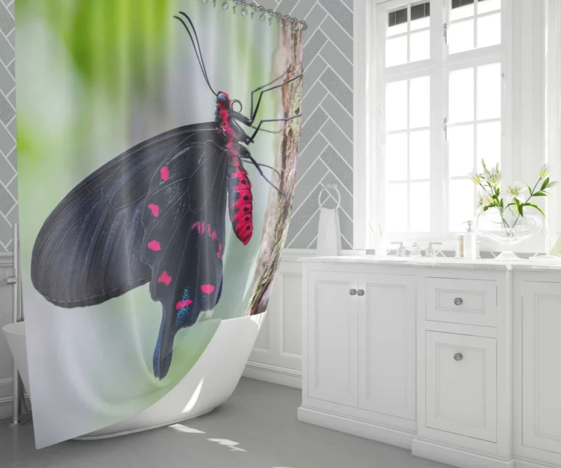 Black and Pink Butterfly Nature Elegance Shower Curtain 1