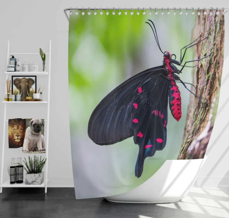 Black and Pink Butterfly Nature Elegance Shower Curtain