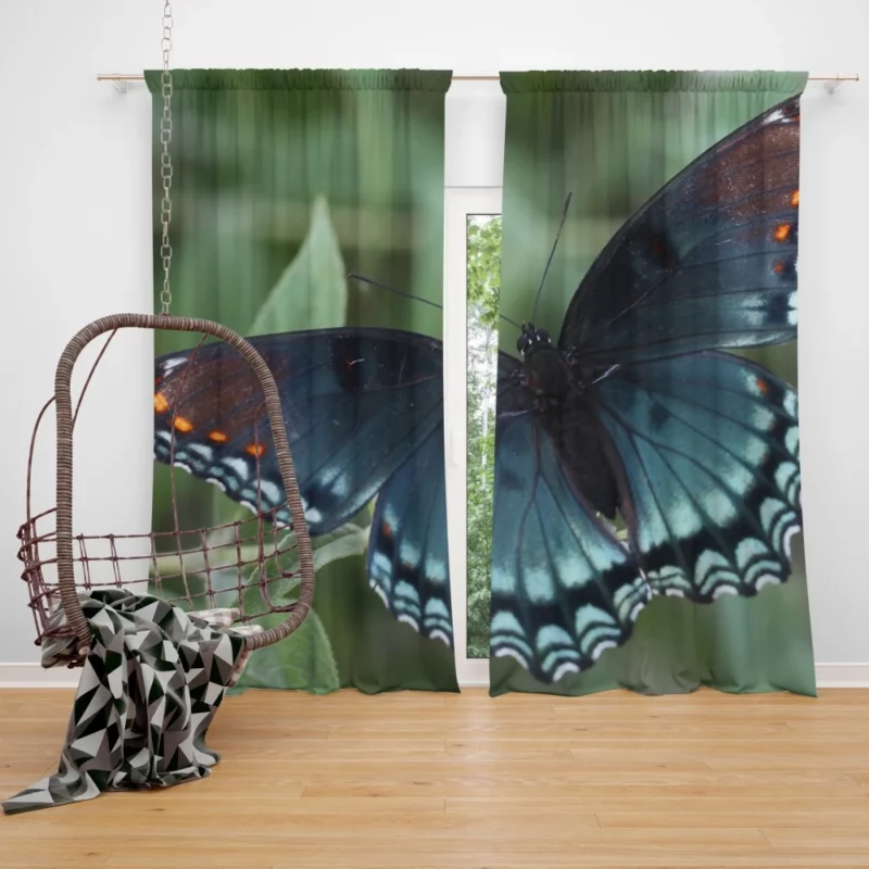 Blue Butterfly in Radiant Bloom Curtain