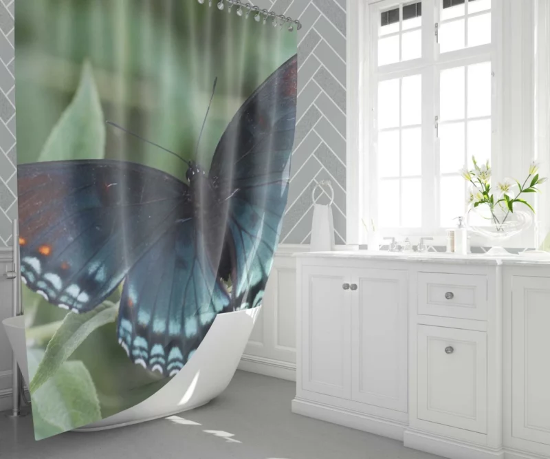 Blue Butterfly in Radiant Bloom Shower Curtain 1