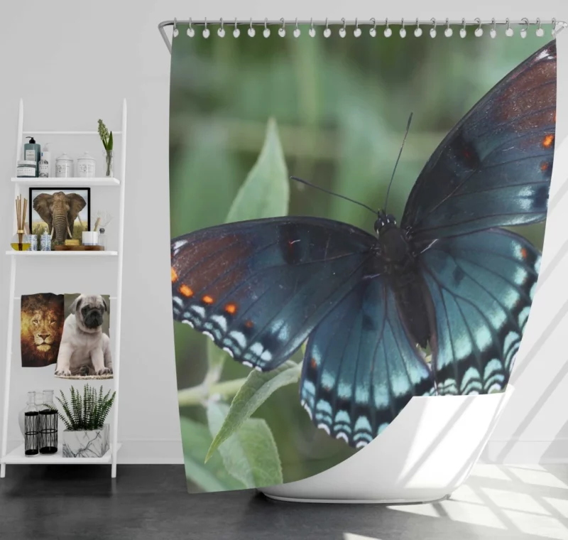 Blue Butterfly in Radiant Bloom Shower Curtain