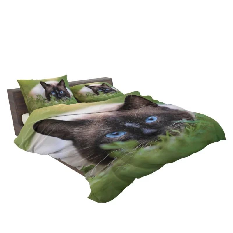 Blue-Eyed Cat Amidst Grass Nature Gaze Bedding Set 2