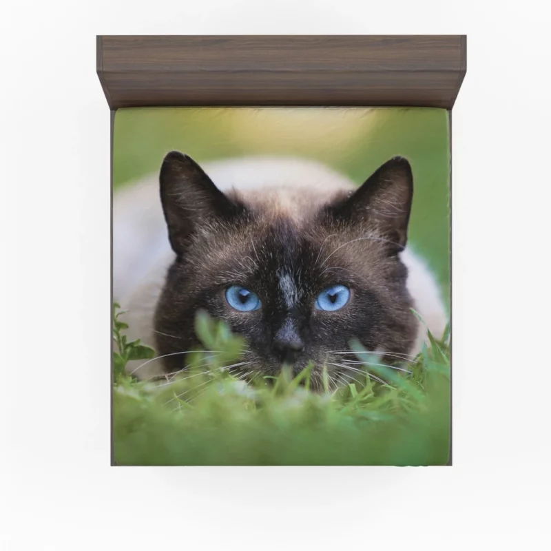 Blue-Eyed Cat Amidst Grass Nature Gaze Fitted Sheet 1