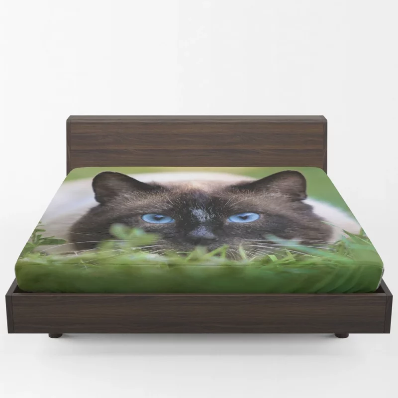 Blue-Eyed Cat Amidst Grass Nature Gaze Fitted Sheet