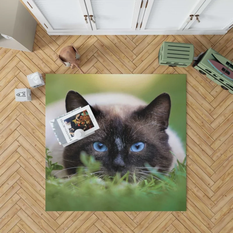 Blue-Eyed Cat Amidst Grass Nature Gaze Rug